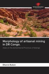 Morphology of artisanal mining in DR Congo.