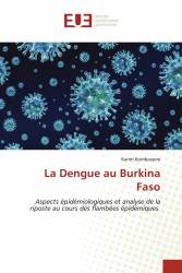 La Dengue au Burkina Faso