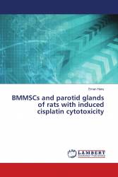 BMMSCs and parotid glands of rats with induced cisplatin cytotoxicity