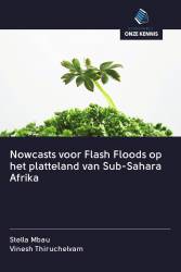 Nowcasts voor Flash Floods op het platteland van Sub-Sahara Afrika