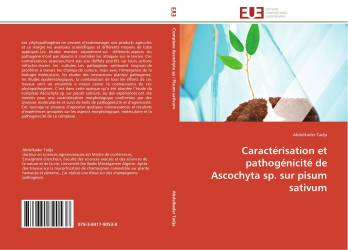 Caractérisation et pathogénicité de Ascochyta sp. sur pisum sativum