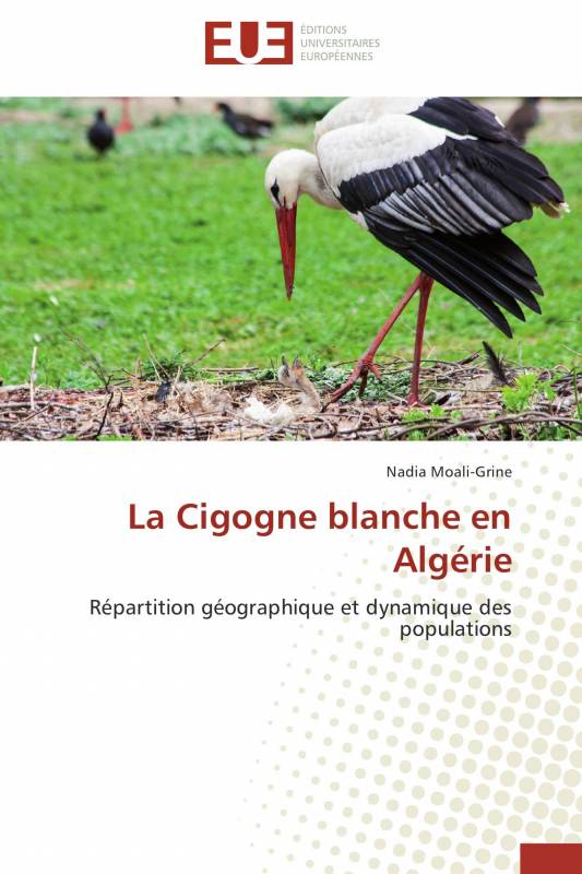 La Cigogne blanche en Algérie