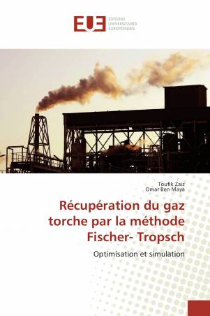 Récupération du gaz torche par la méthode Fischer- Tropsch