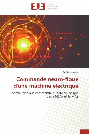 Commande neuro-floue d'une machine électrique