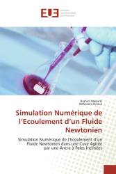 Simulation Numérique de l’Ecoulement d’un Fluide Newtonien