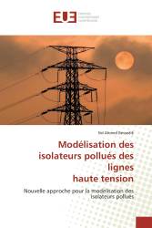 Modélisation des isolateurs pollués des lignes haute tension