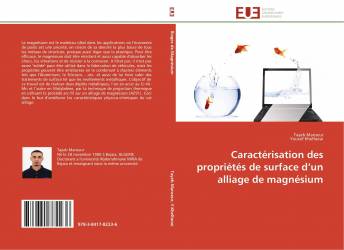 Caractérisation des propriétés de surface d’un alliage de magnésium