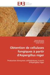 Obtention de cellulases fongiques à partir d'Aspergillus niger