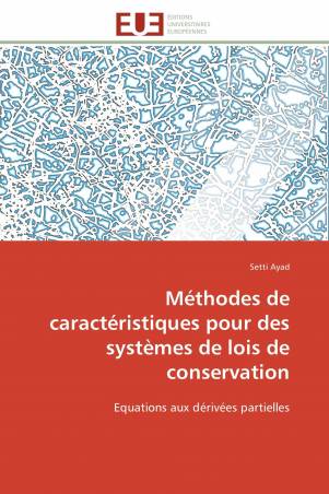 Méthodes de caractéristiques pour des systèmes de lois de conservation