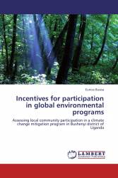 Incentives for participation in global environmental programs
