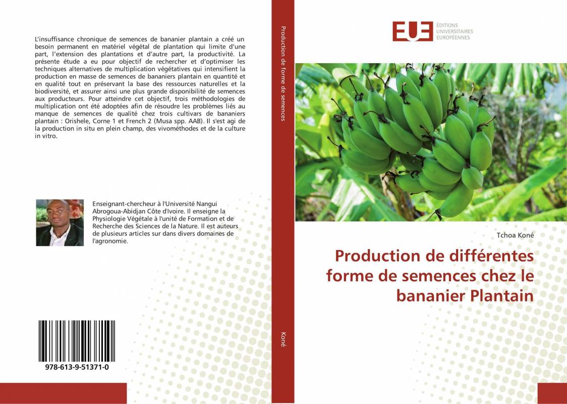 Production de différentes forme de semences chez le bananier Plantain