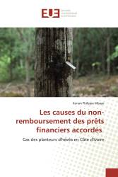 Les causes du non-remboursement des prêts financiers accordés