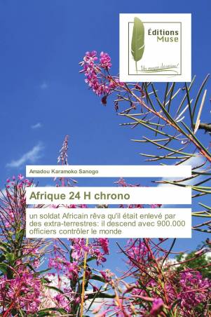 Afrique 24 H chrono