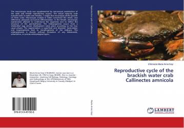 Reproductive cycle of the brackish water crab Callinectes amnicola
