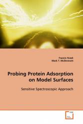 Probing Protein Adsorption on Model Surfaces