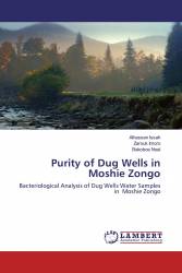 Purity of Dug Wells in Moshie Zongo