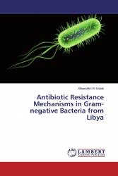 Antibiotic Resistance Mechanisms in Gram-negative Bacteria from Libya