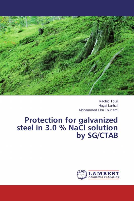 Protection for galvanized steel in 3.0 % NaCl solution by SG/CTAB