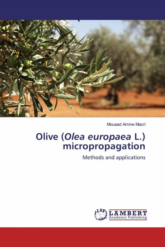 Olive (Olea europaea L.) micropropagation