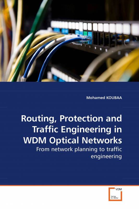 Routing, Protection and Traffic Engineering in WDM Optical Networks