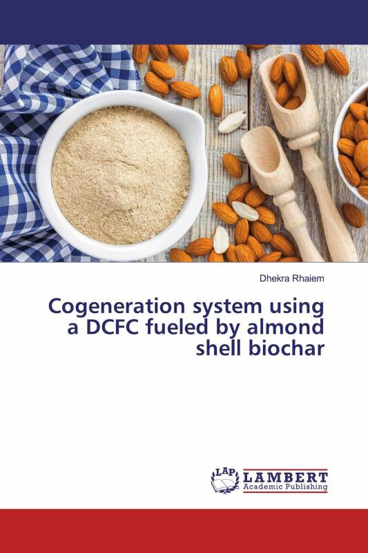 Cogeneration system using a DCFC fueled by almond shell biochar