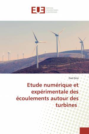 Etude numérique et expérimentale des écoulements autour des turbines