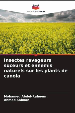 Insectes ravageurs suceurs et ennemis naturels sur les plants de canola