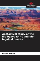 Anatomical study of the ilio-hypogastric and ilio-inguinal nerves