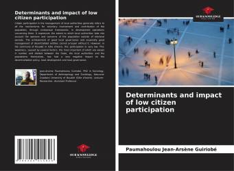 Determinants and impact of low citizen participation