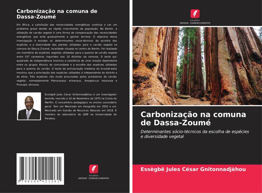 Carbonização na comuna de Dassa-Zoumé