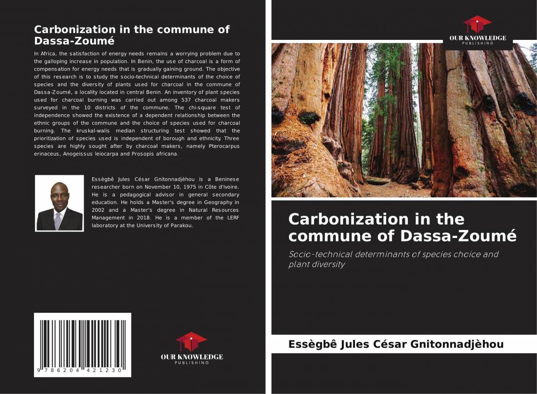 Carbonization in the commune of Dassa-Zoumé