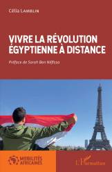Vivre la révolution égyptienne à distance