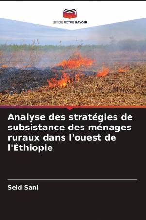 Analyse des stratégies de subsistance des ménages ruraux dans l'ouest de l'Éthiopie
