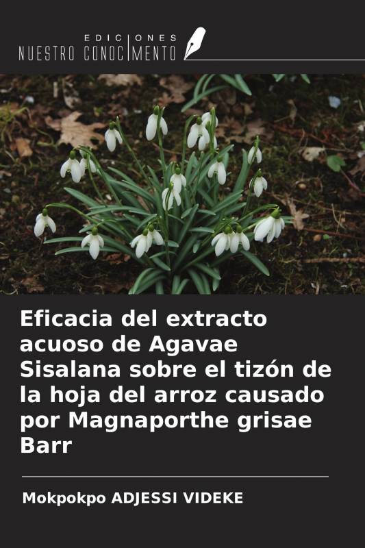 Eficacia del extracto acuoso de Agavae Sisalana sobre el tizón de la hoja del arroz causado por Magnaporthe grisae Barr