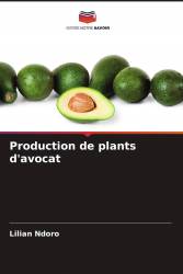 Production de plants d'avocat