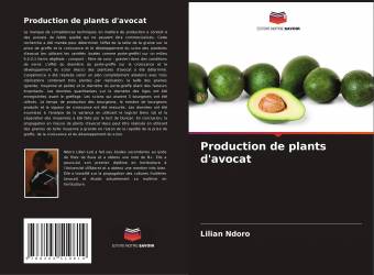 Production de plants d'avocat