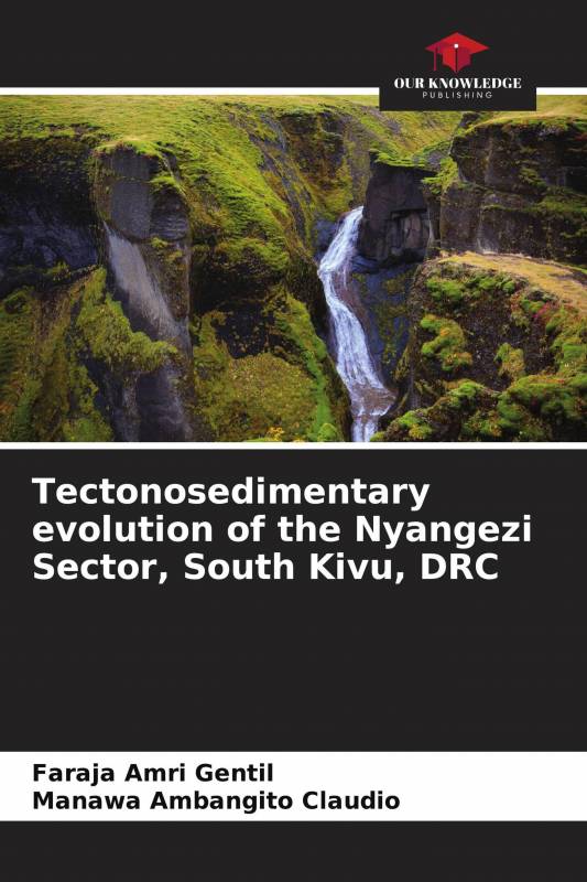 Tectonosedimentary evolution of the Nyangezi Sector, South Kivu, DRC
