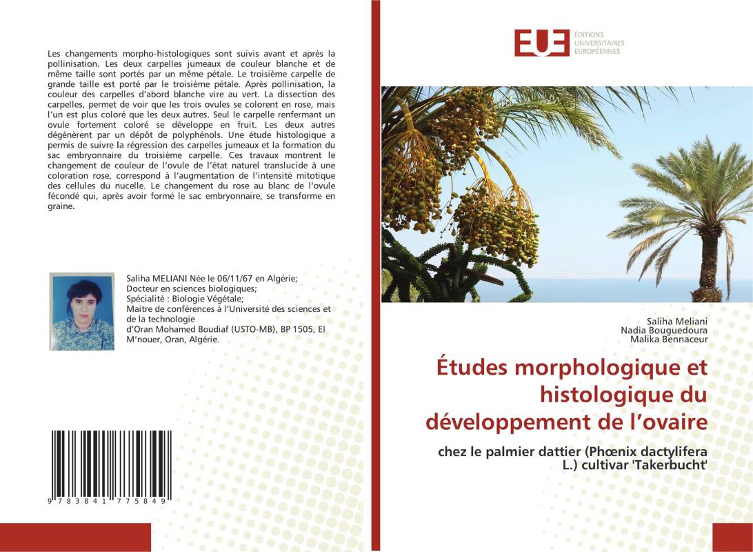 Études morphologique et histologique du développement de l’ovaire