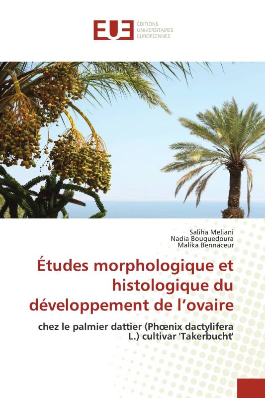 Études morphologique et histologique du développement de l’ovaire