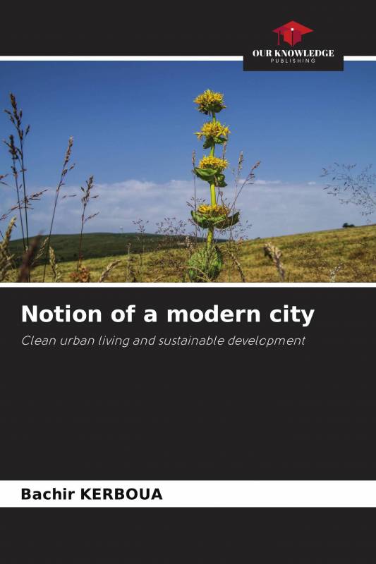 Notion of a modern city