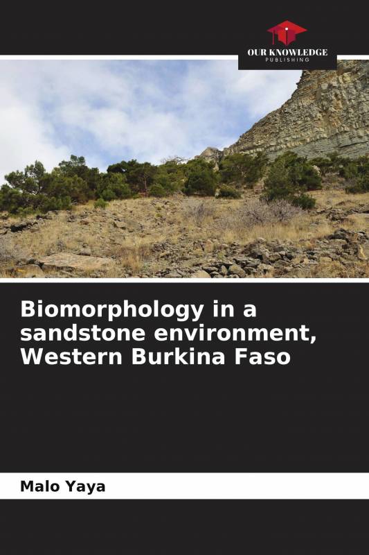 Biomorphology in a sandstone environment, Western Burkina Faso