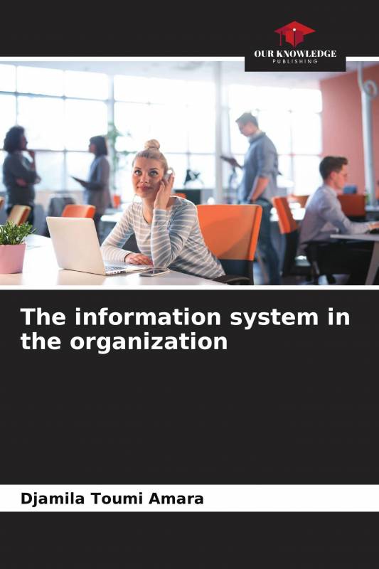 The information system in the organization
