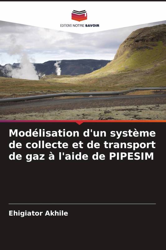 Modélisation d'un système de collecte et de transport de gaz à l'aide de PIPESIM
