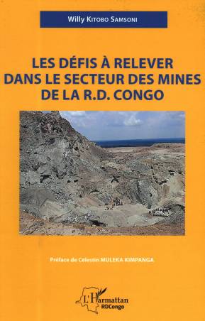 Les défis à relever dans le secteur des mines de la R.D. Congo