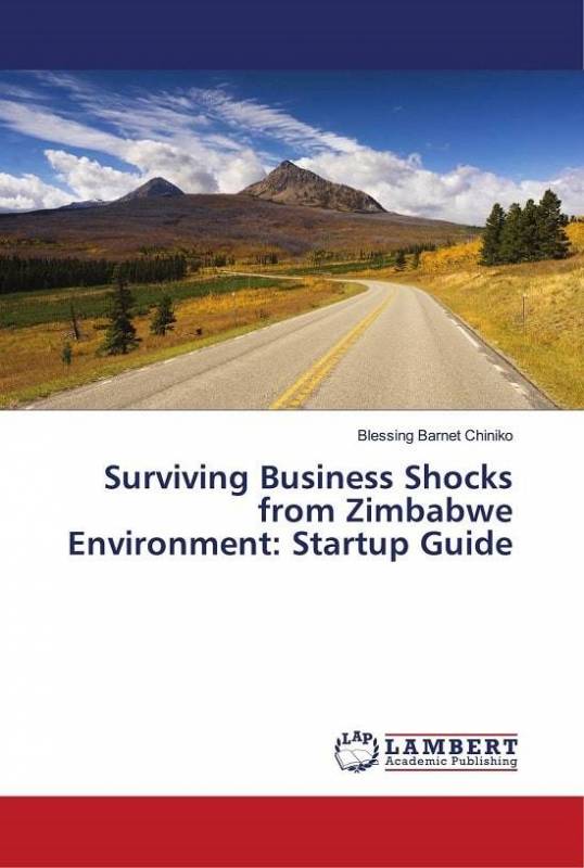 Surviving Business Shocks from Zimbabwe Environment: Startup Guide