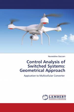Control Analysis of Switched Systems: Geometrical Approach