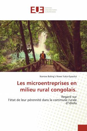 Les microentreprises en milieu rural congolais.