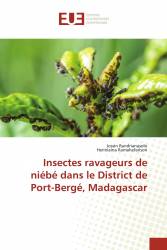 Insectes ravageurs de niébé dans le District de Port-Bergé, Madagascar