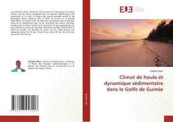Climat de houle et dynamique sédimentaire dans le Golfe de Guinée