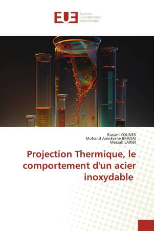 Projection Thermique, le comportement d&#039;un acier inoxydable